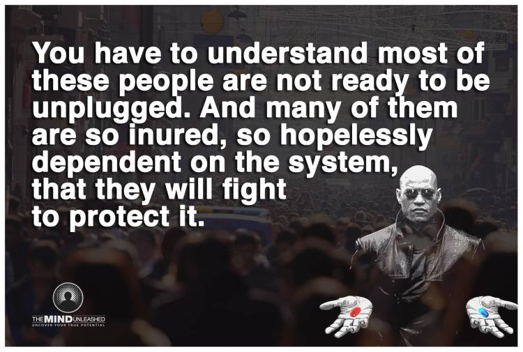 11879000_1006785586045253_2429774048531402425_o