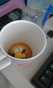 20170401_092553_resized_3