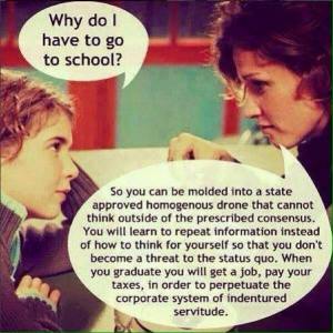 13254069_245693925791516_4358519700815790137_n