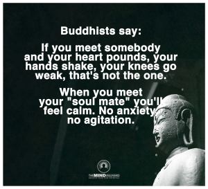 11227888_1013308788726266_1746212417406037491_o