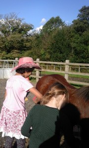 20161003_154331_resized