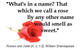 rose-by-any-other-name-revised4